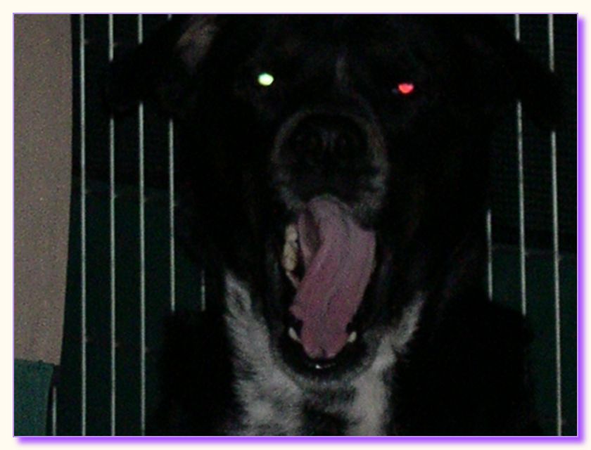 DSCN0745