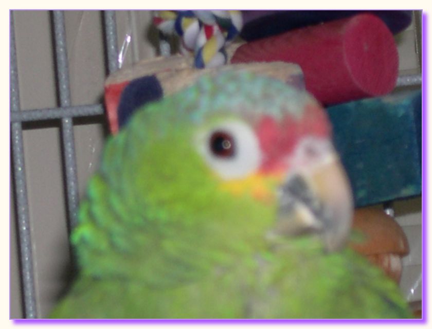DSCN0159