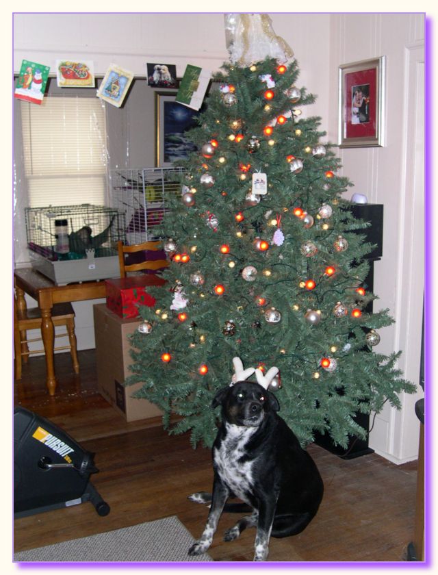 DSCN0095
